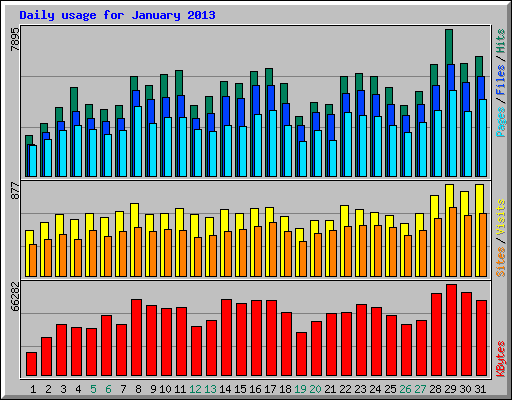 Daily usage for January 2013