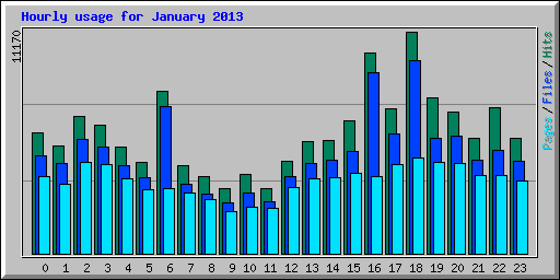 Hourly usage for January 2013